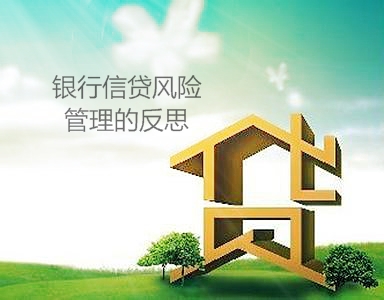 銀行信貸風險管理的反思